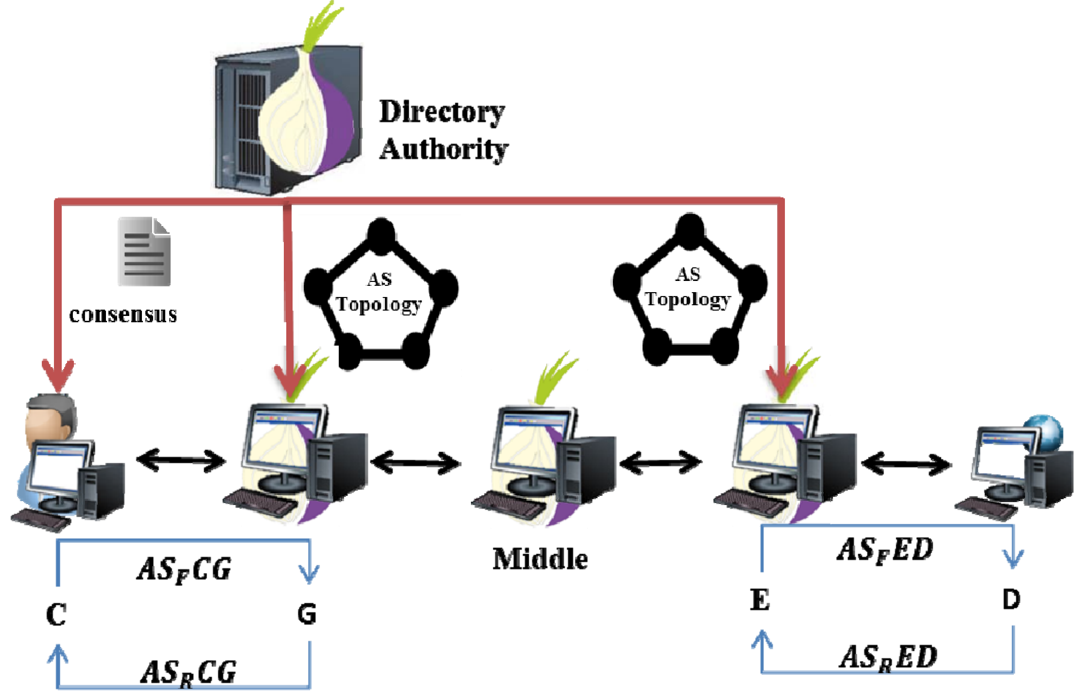 tor network attack tor network attack